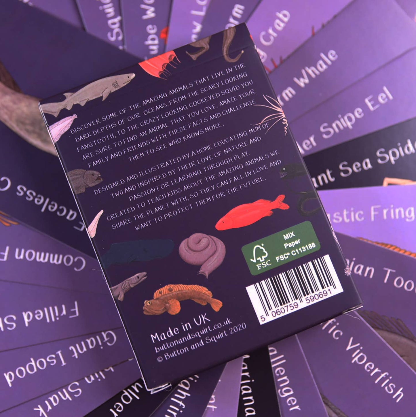 Button & Squirt - Amazing Animals of the Deep Fact Cards