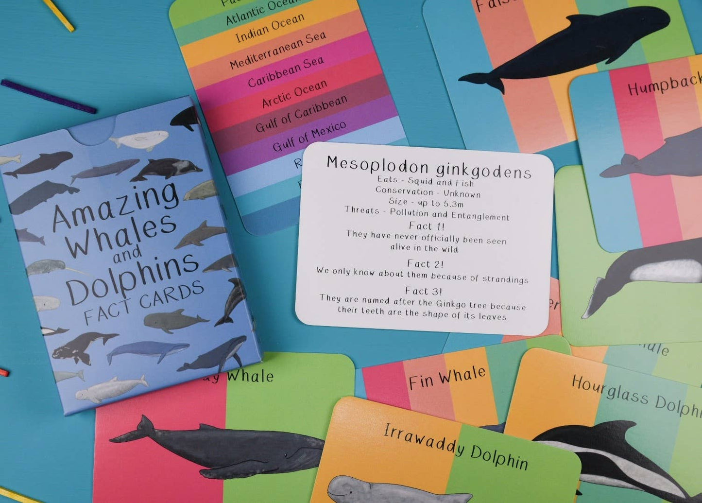 Button & Squirt - Amazing Whales and Dolphins Fact Cards