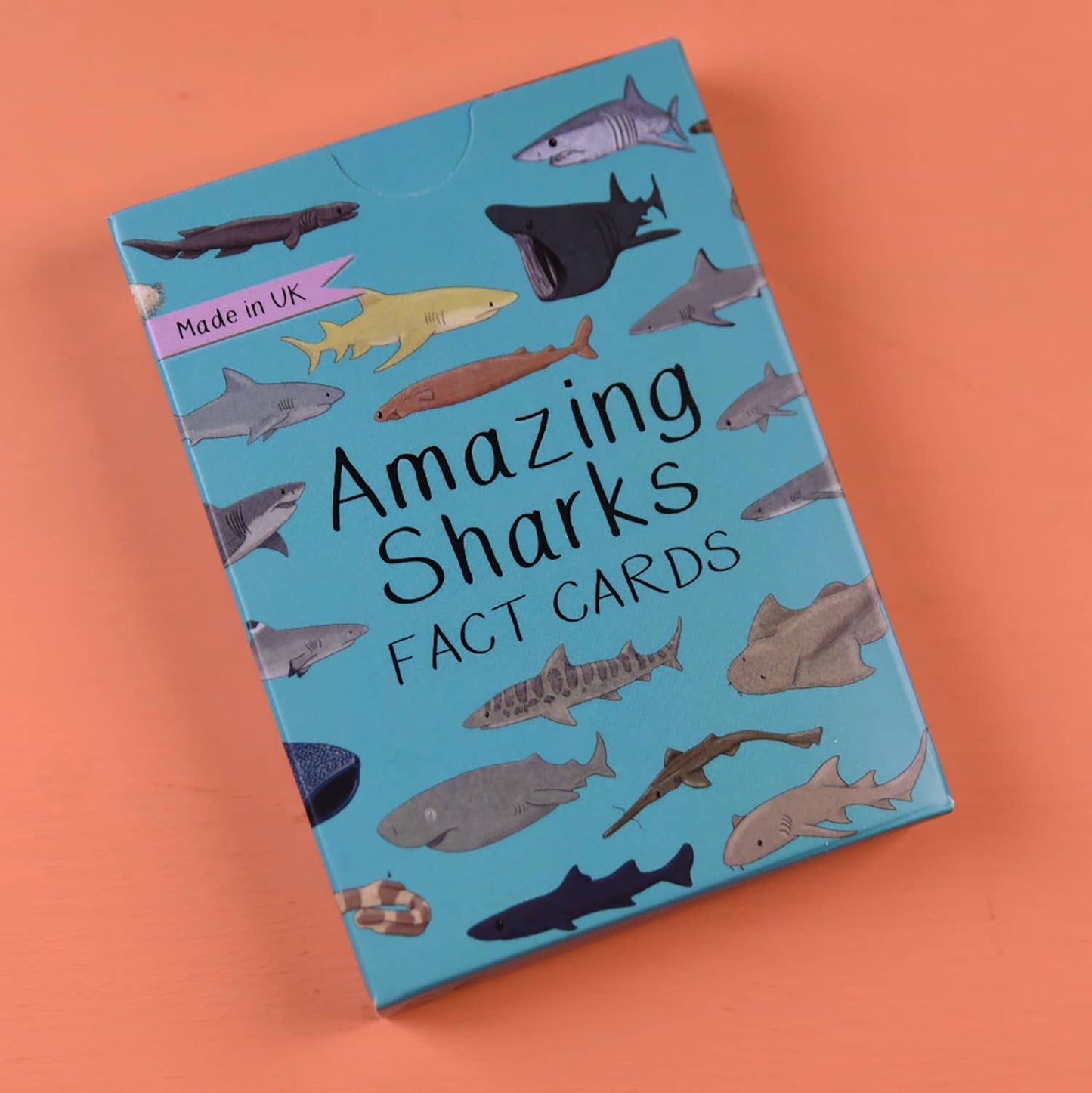 Button & Squirt - Amazing Sharks Fact Cards