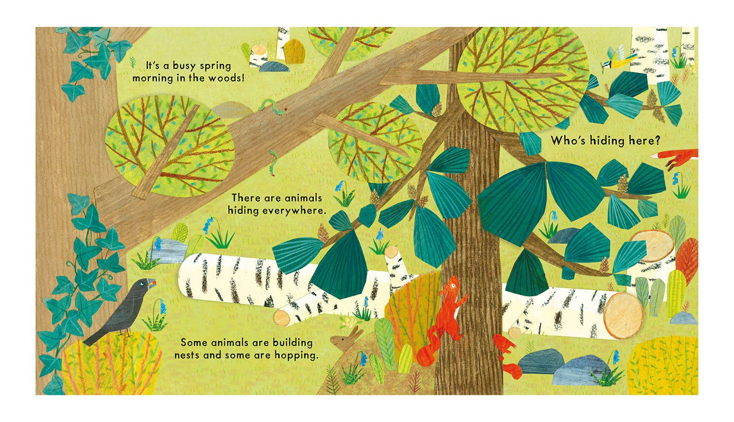 Nosy Crow - National Trust: Who's Hiding in the Woods?