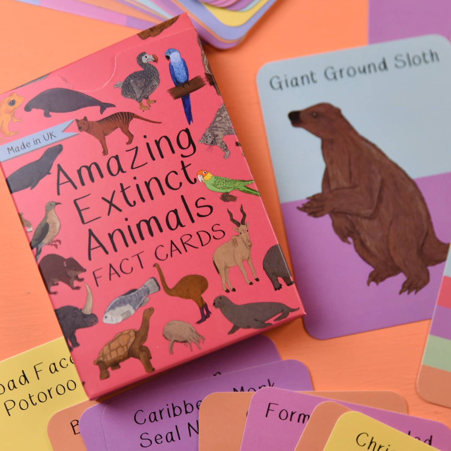 Button & Squirt - Amazing Extinct Animals Fact Cards